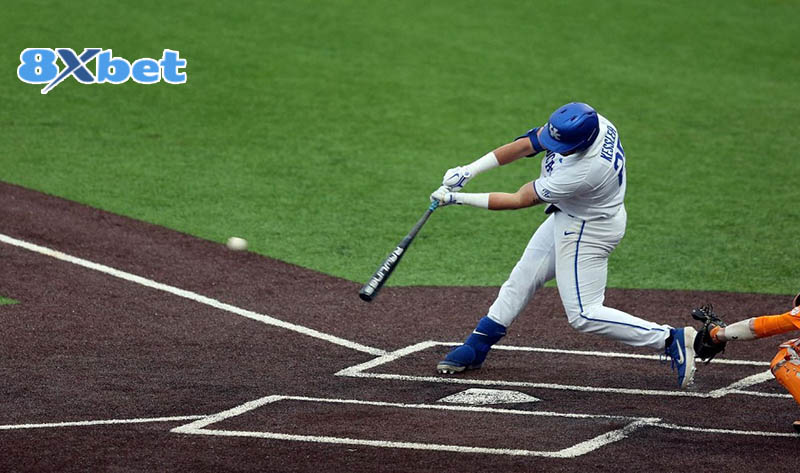 Kinh nghiệm cá cược Cricket hiệu quả cao